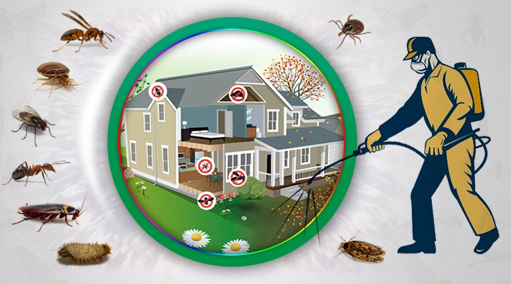 Söke Böcek İlaçlama